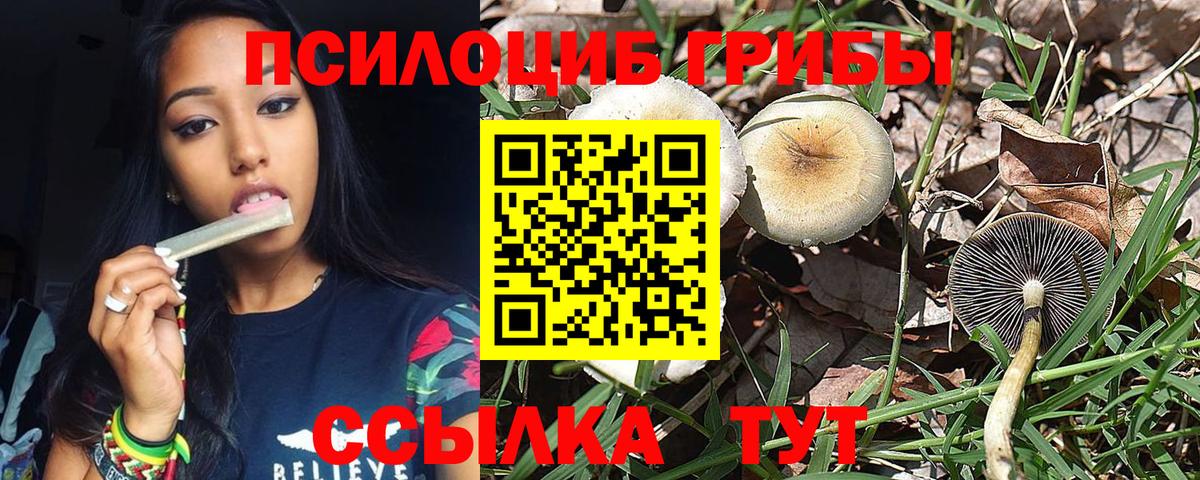 Галлюциногенные грибы MAGIC MUSHROOMS Сургут