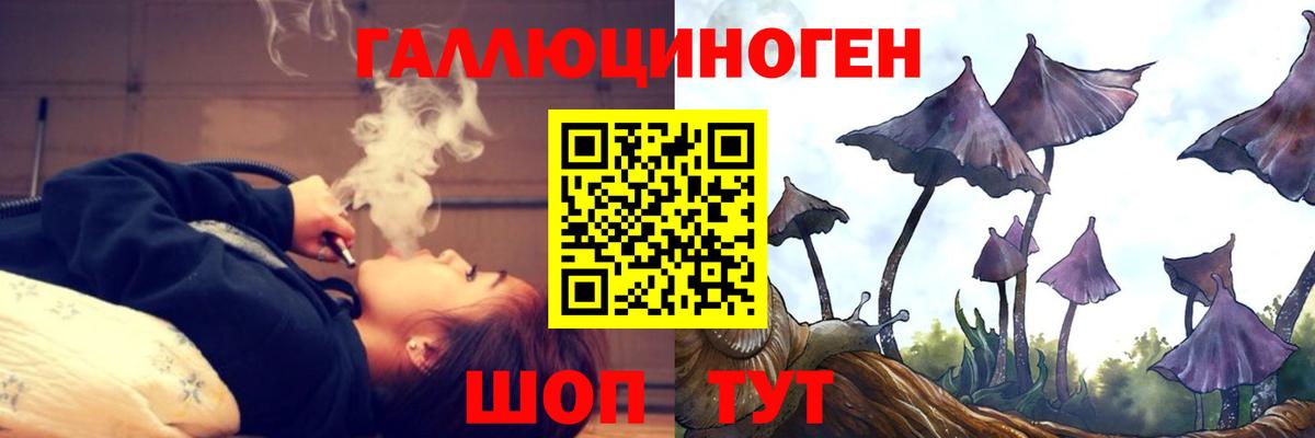 Галлюциногенные грибы Psilocybe  Вход с VPN  Галлюциногенные грибы Psilocybe  Сургут 